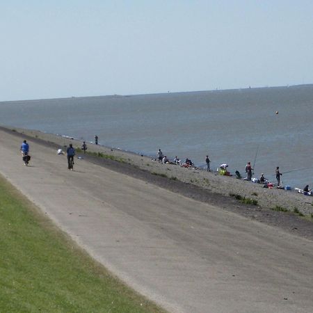 Bed And Breakfast De Zeehoeve Harlingen Exterior photo